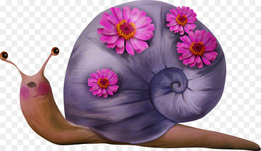 Escargot Avec Des Fleurs，Coquille PNG