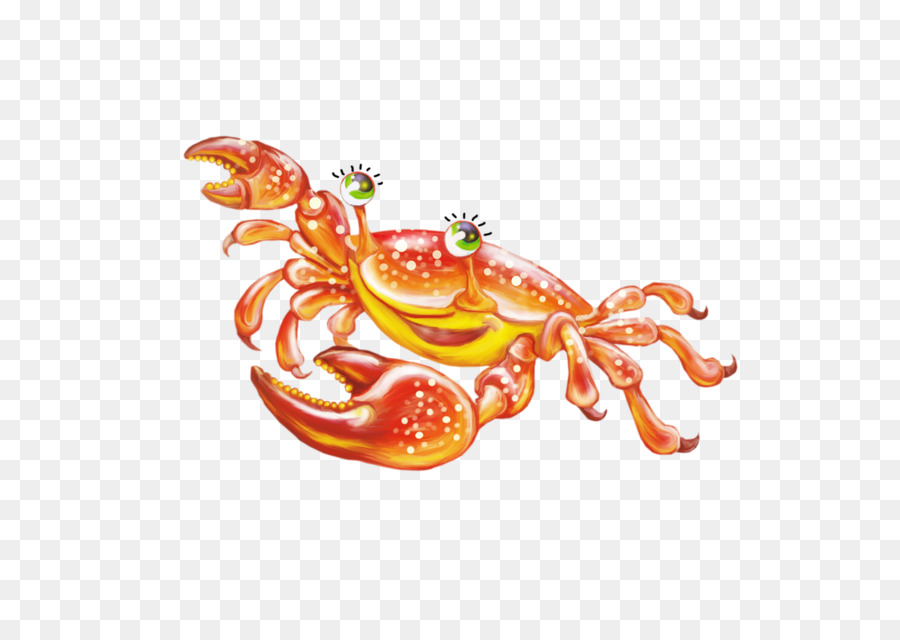 Crabe，Décapoda PNG