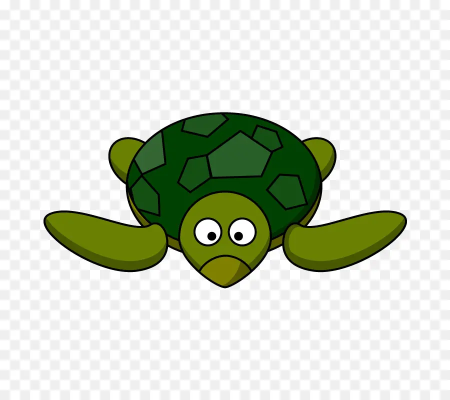 Tortue，Vert PNG