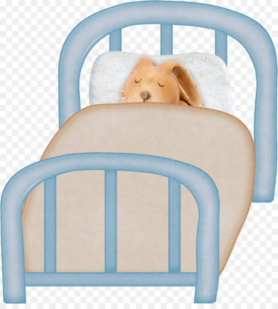 Chien Endormi，Lit PNG