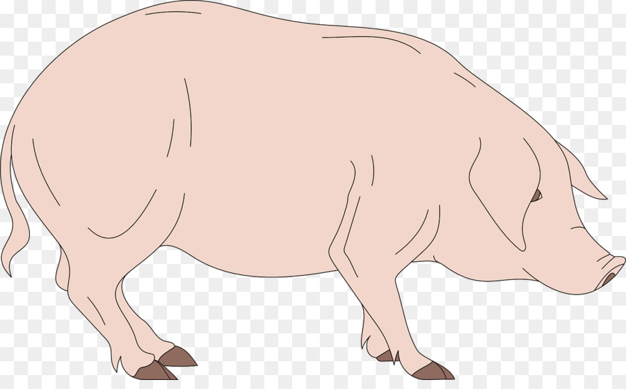 Cochon Rose，Cochon PNG