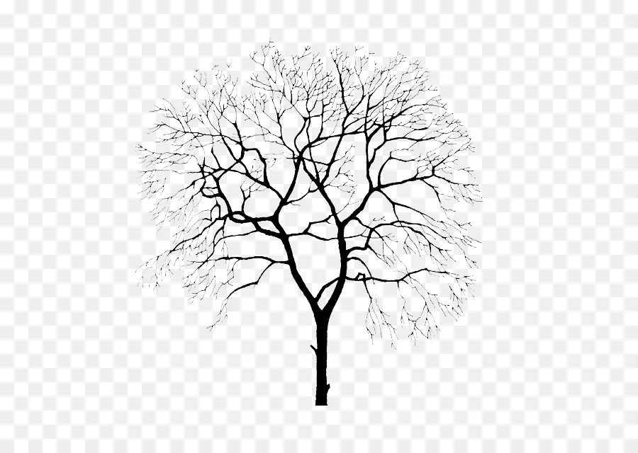 Arbre，Jardin PNG