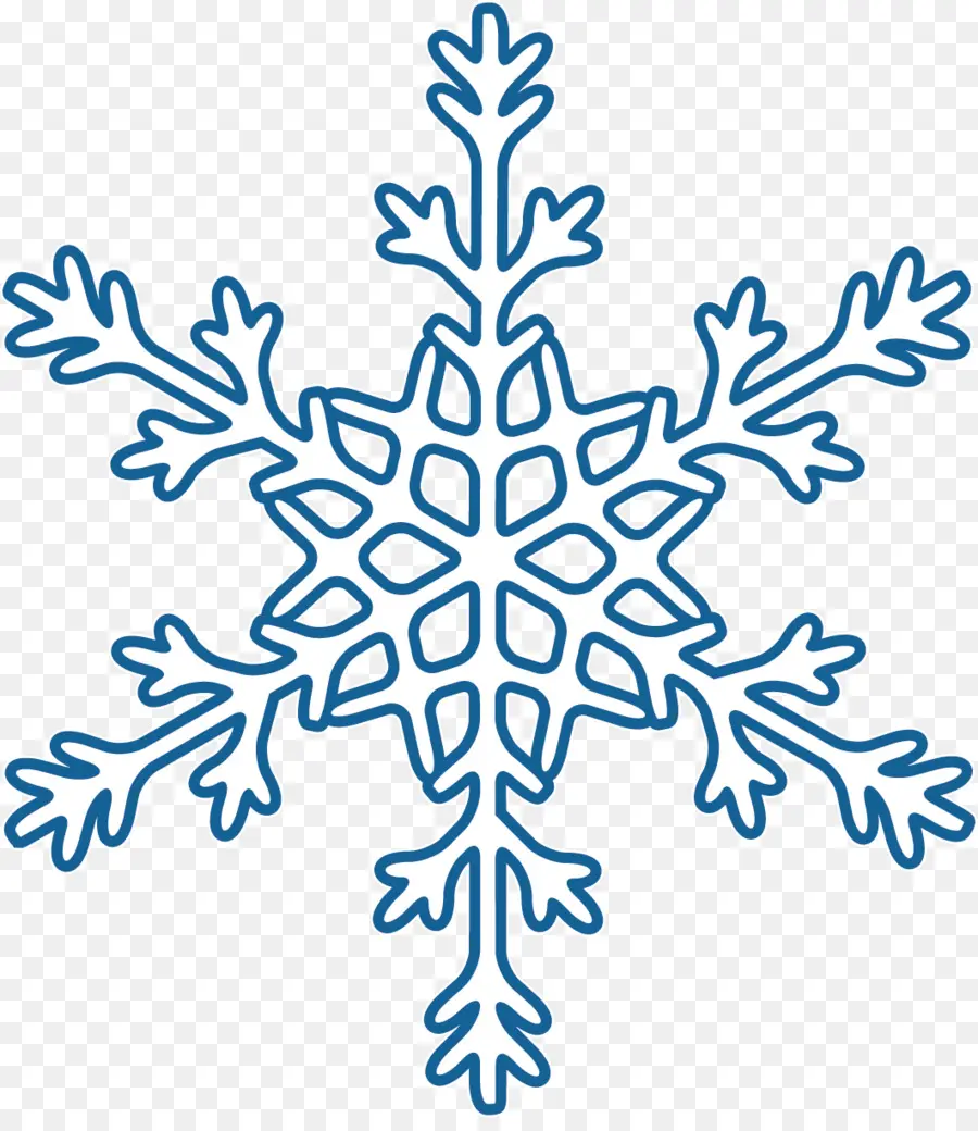 Flocon De Neige，Hiver PNG