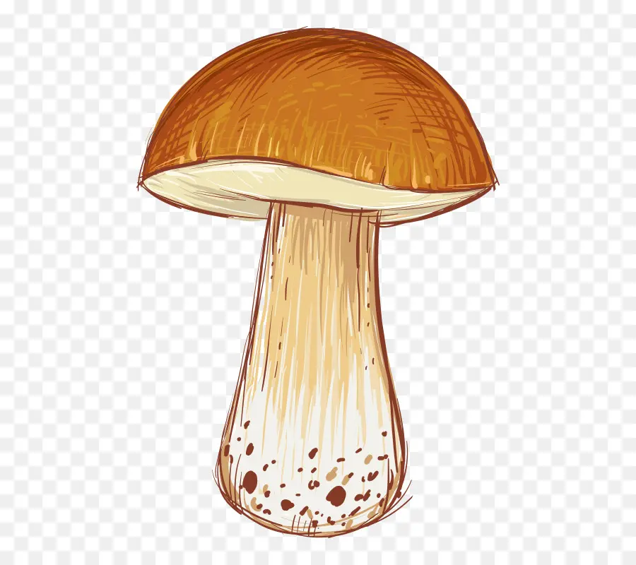 Dessin Animé，Champignon PNG