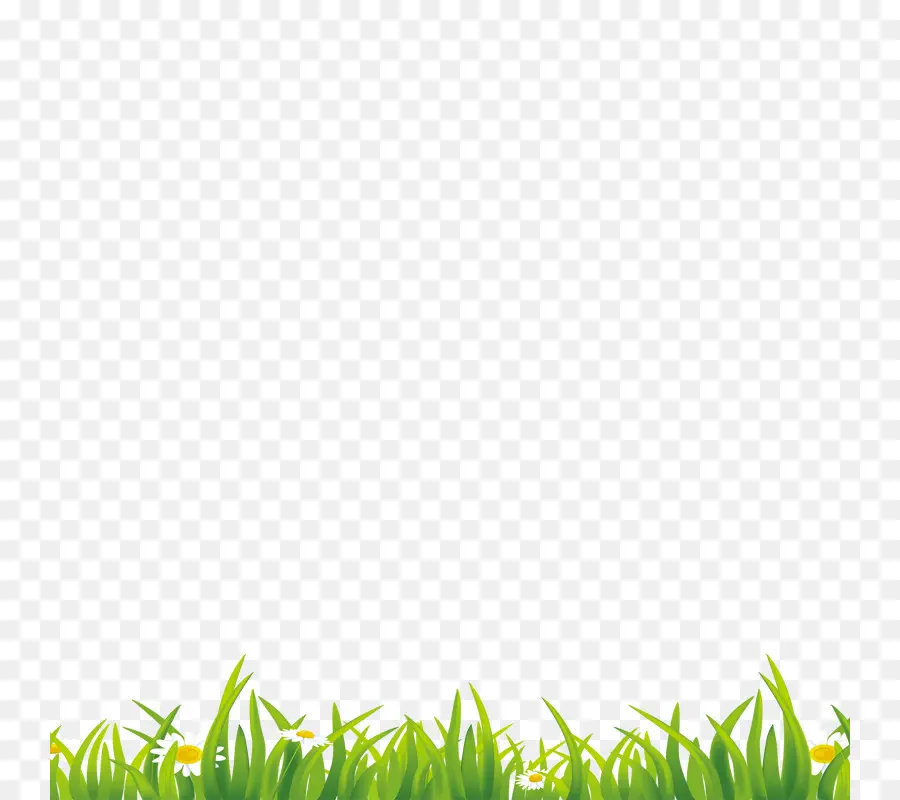 Herbe Verte，Fleurs PNG