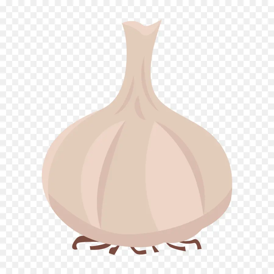 Ail，Ampoule PNG