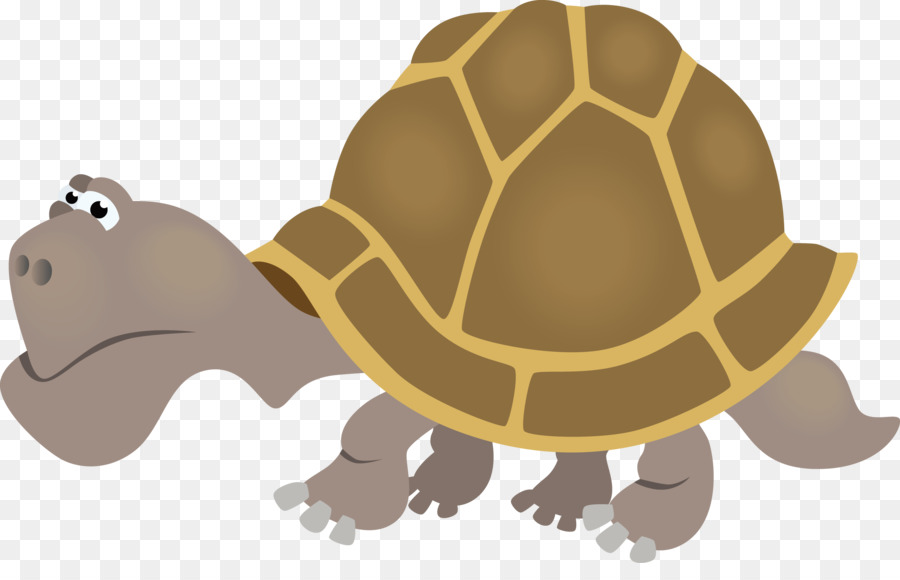 Tortue，Reptile PNG