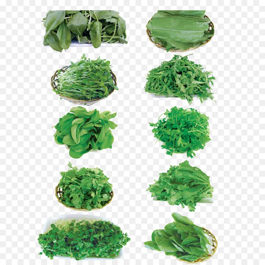 Légumes Verts，Feuillu PNG