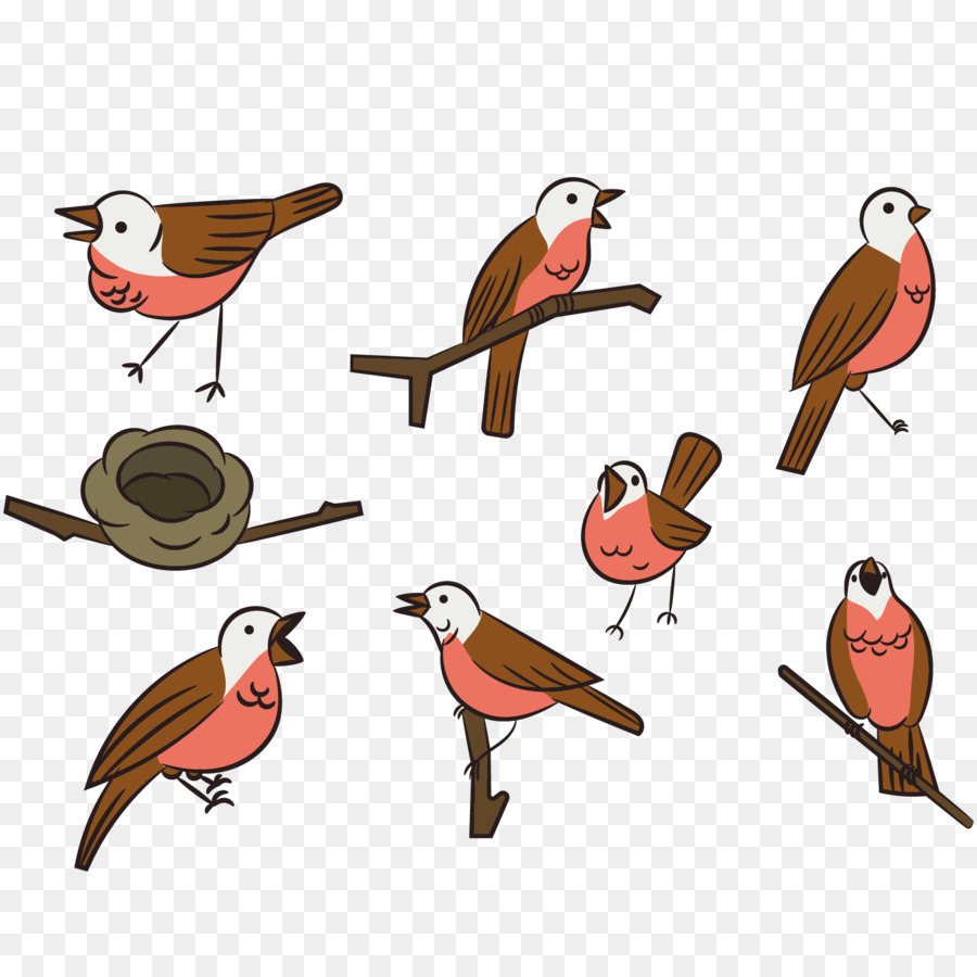 Oiseaux，Nid PNG