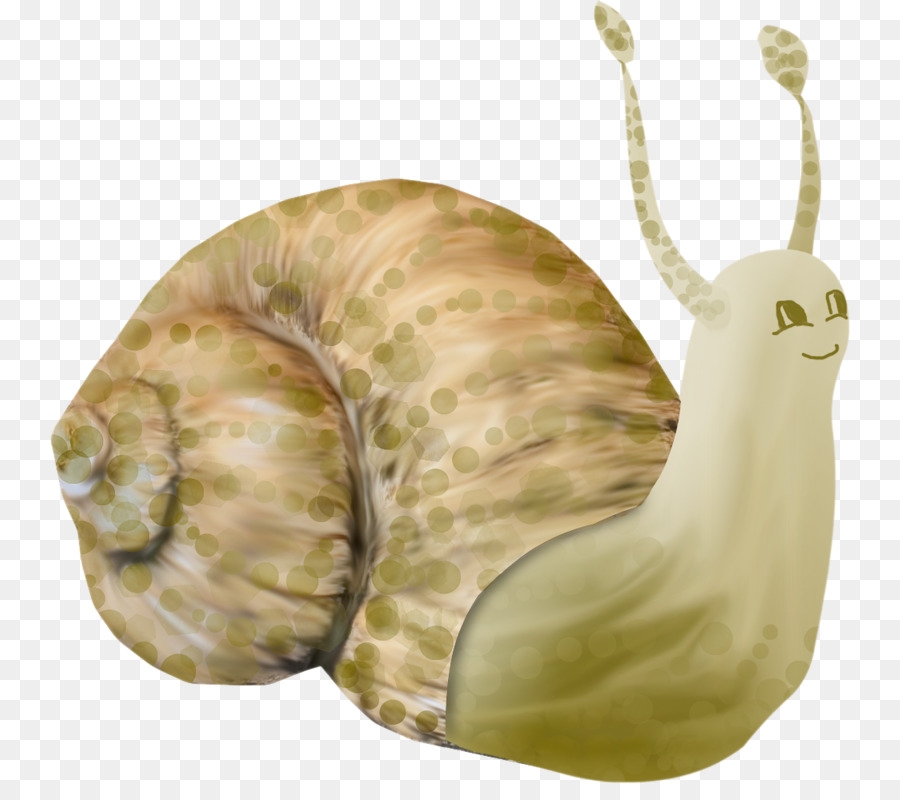 Escargot，Coquille PNG