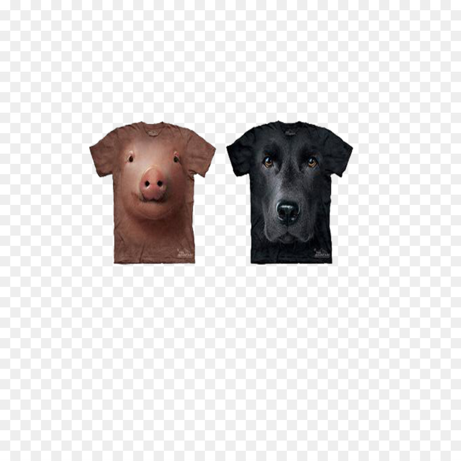 Le Labrador Retriever，Tshirt PNG