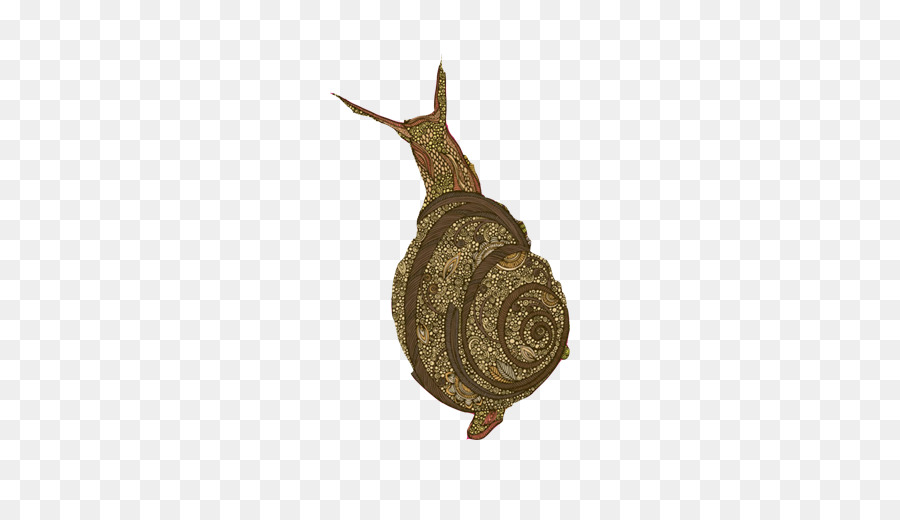 Escargot，Coquille PNG