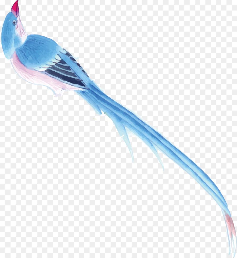 Oiseau Bleu，Plumes PNG