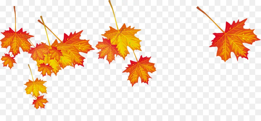 Feuilles D'automne，Automne PNG