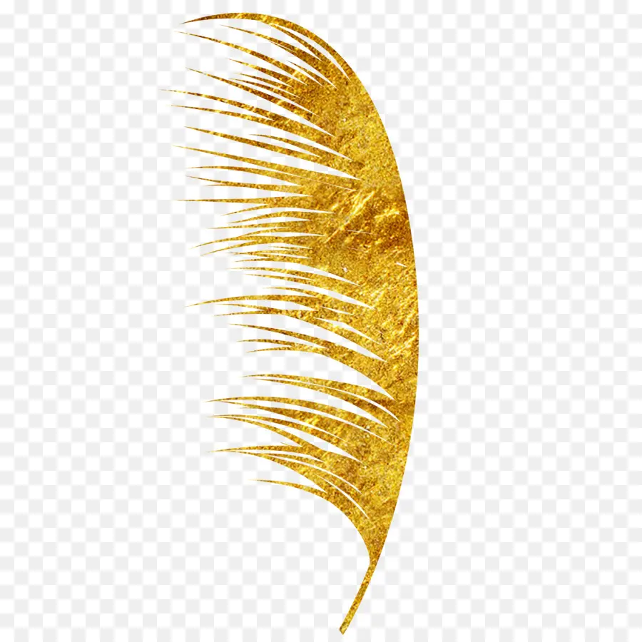 Plume Dorée，Brillant PNG