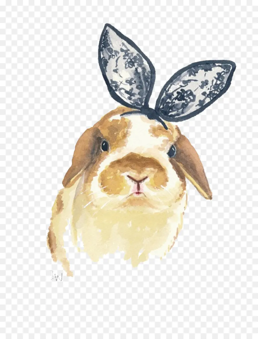 Hollande Lop，Lapin PNG
