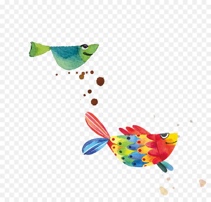 Poisson Coloré，Eau PNG