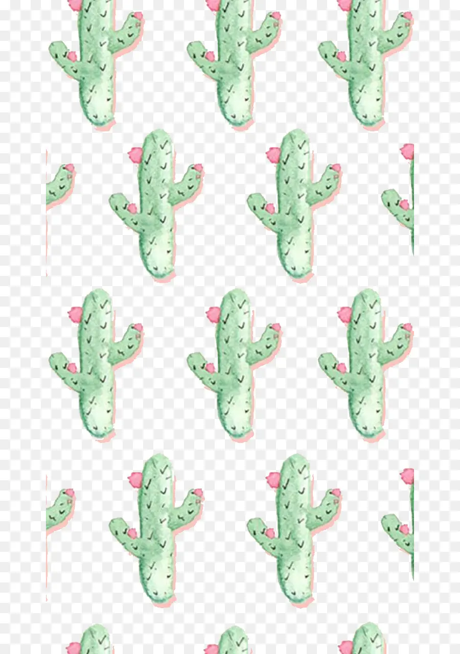 Cactus，Vert PNG