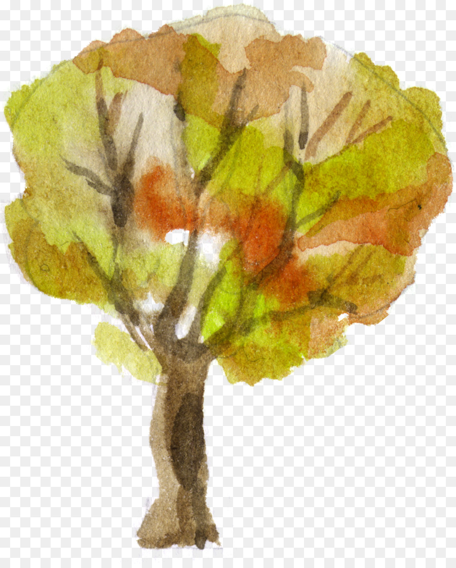 Arbre，Dessin Animé PNG