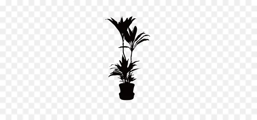 Silhouette De Plante En Pot，Palmier PNG