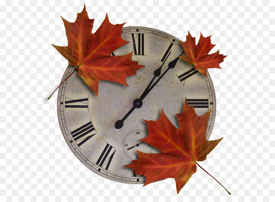 Horloge Avec Des Feuilles，Feuilles PNG