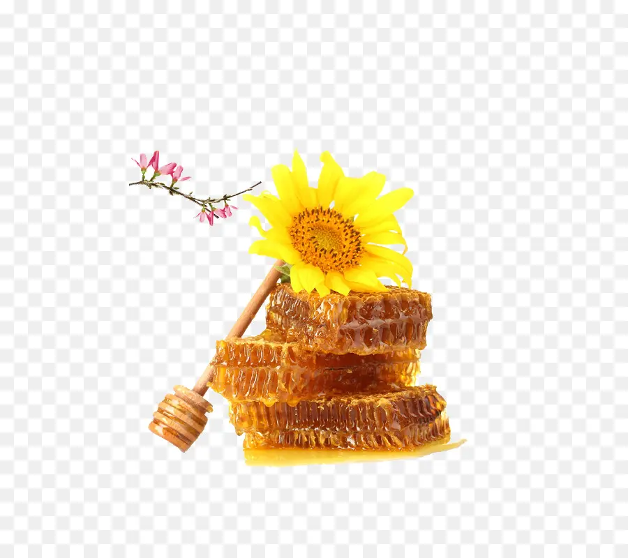 Nid D'abeille Et Tournesol，Louche De Miel PNG