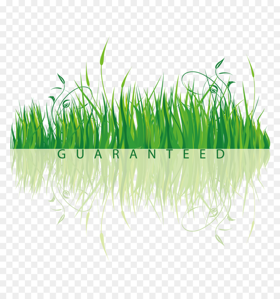 Shutterstock，Sig Grass PNG