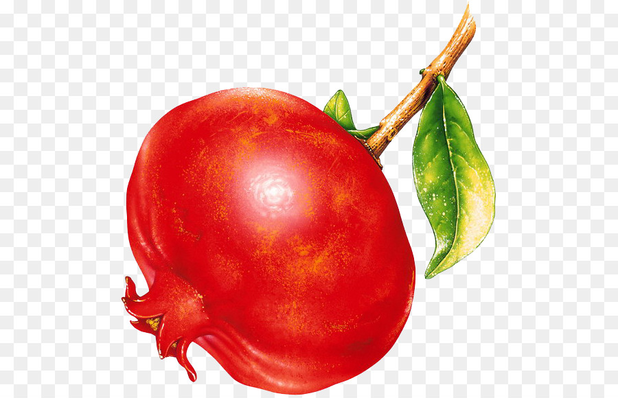 Grenade Rouge，Feuille PNG