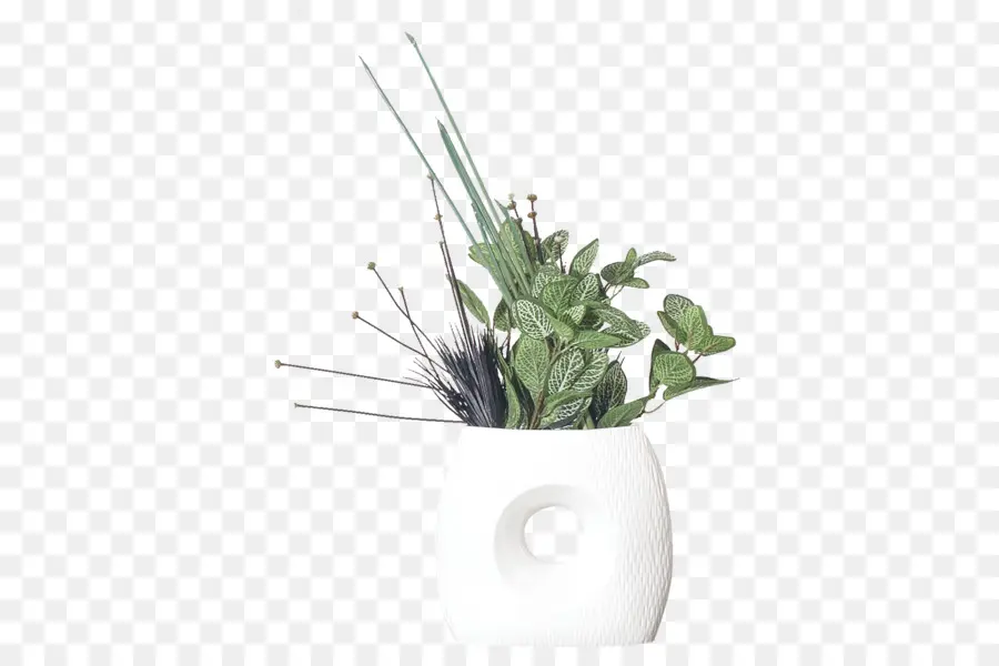 Vase，Plante PNG
