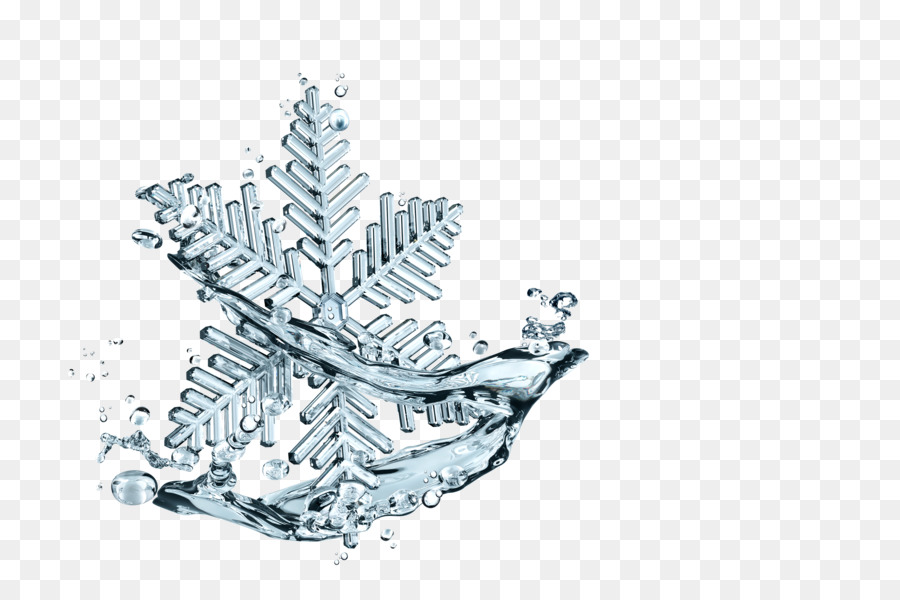 Flocon De Neige，Glace PNG