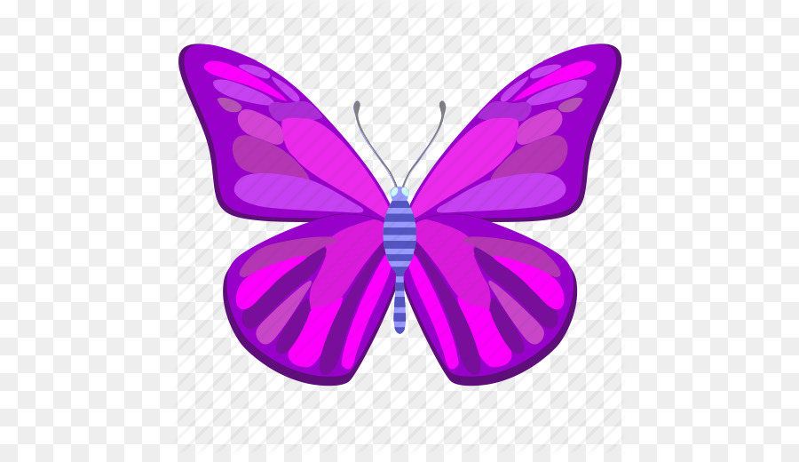 Papillon，Papillon Monarque PNG