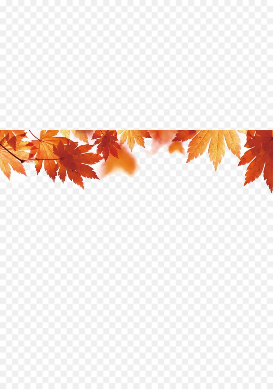 Feuilles D'automne，Automne PNG