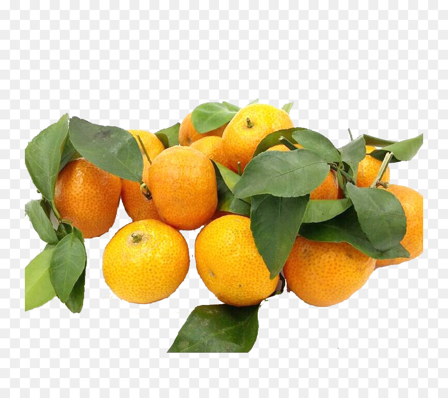 Clémentine，Le Mandarin Orange PNG