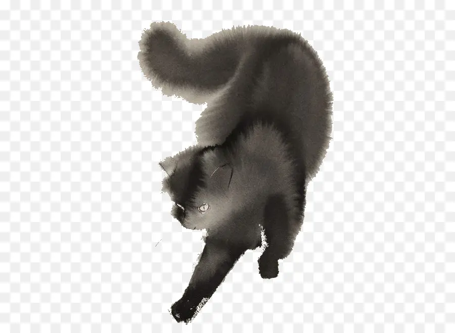 Chat Noir，Félin PNG