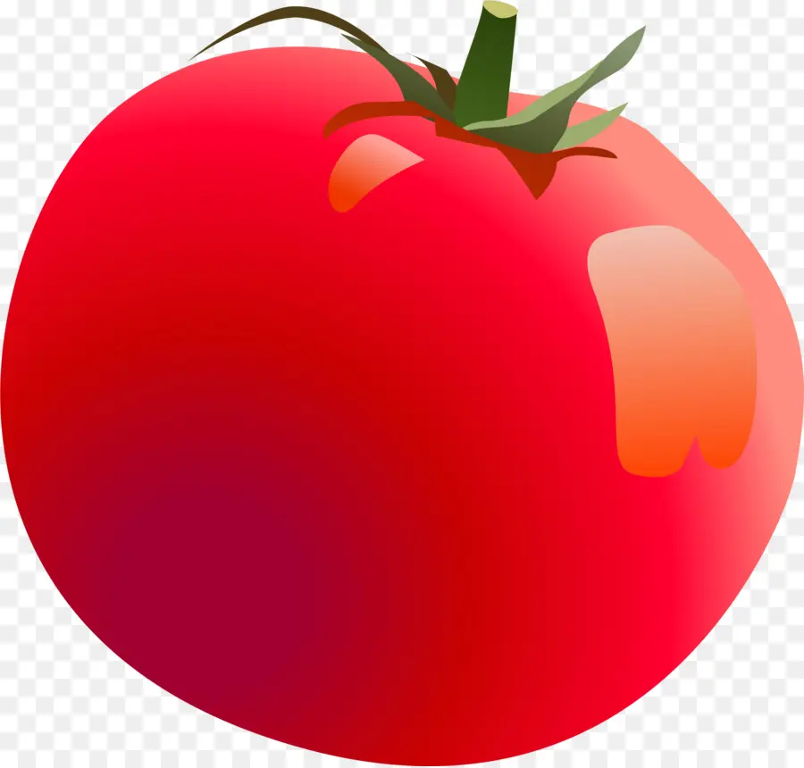 Tomate Rouge，Tige PNG