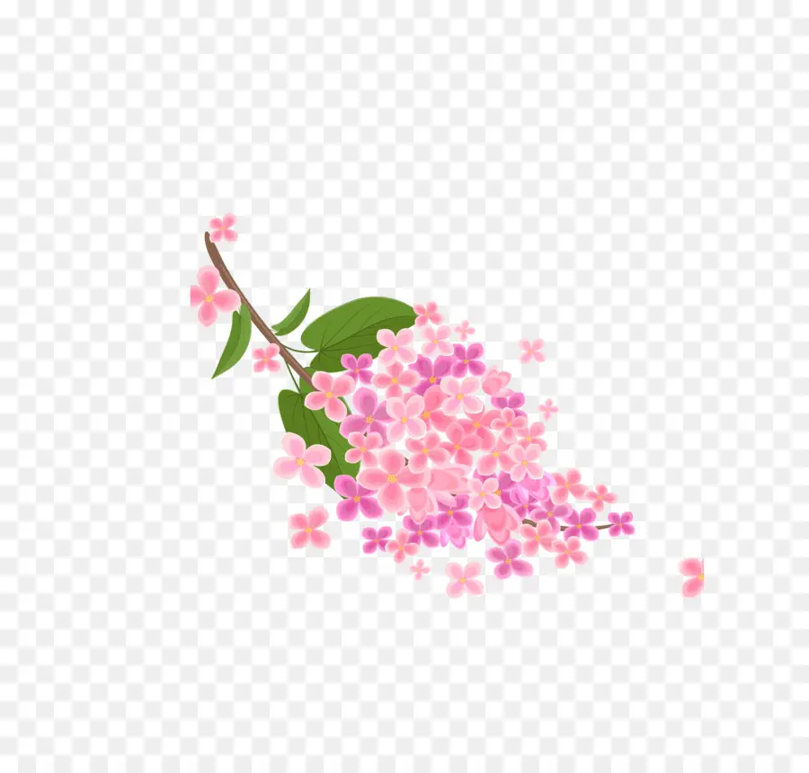 Fleurs Roses，Fleurir PNG