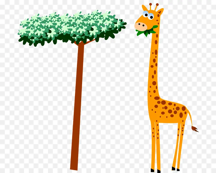 Girafe，Baby Girafes PNG