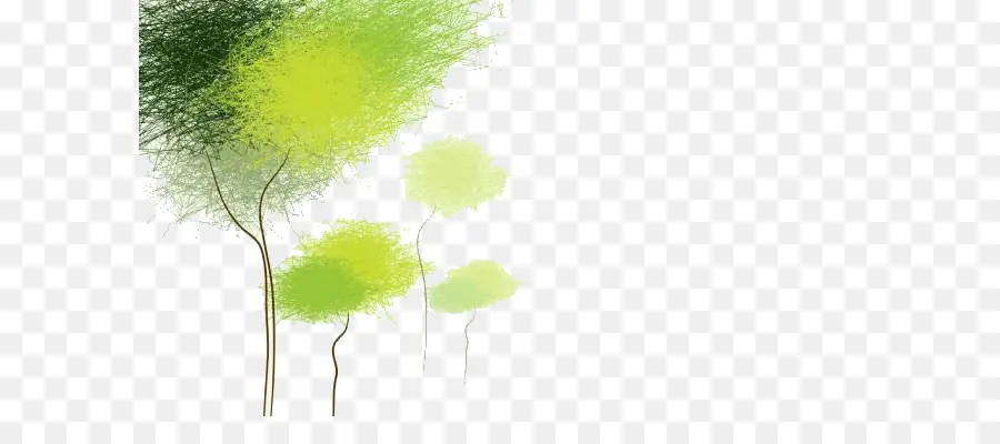 Arbres Verts，Feuilles PNG