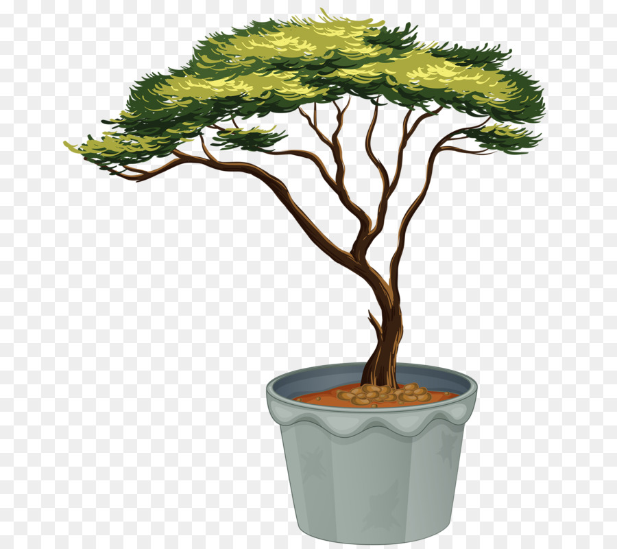 Arbres En Pot，Verdure PNG