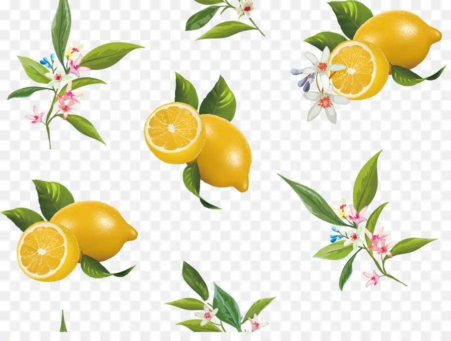 Citron，L Orange Amère PNG