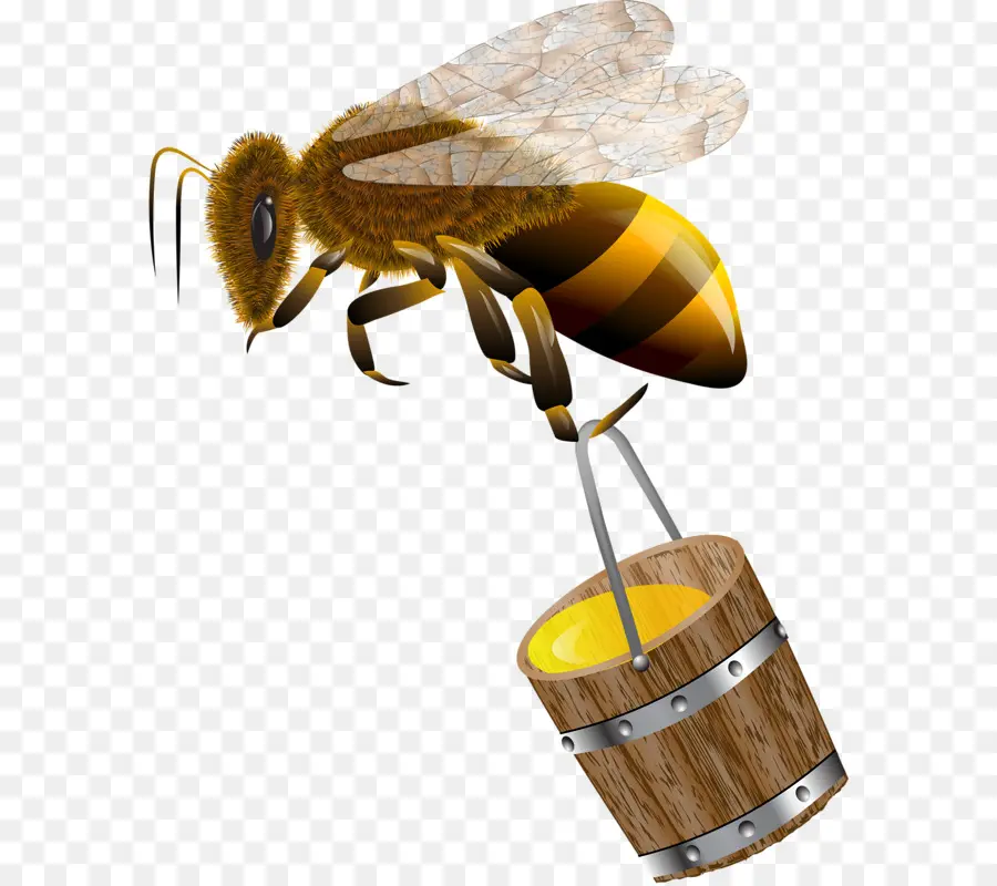 Abeille Avec Seau à Miel，Miel PNG