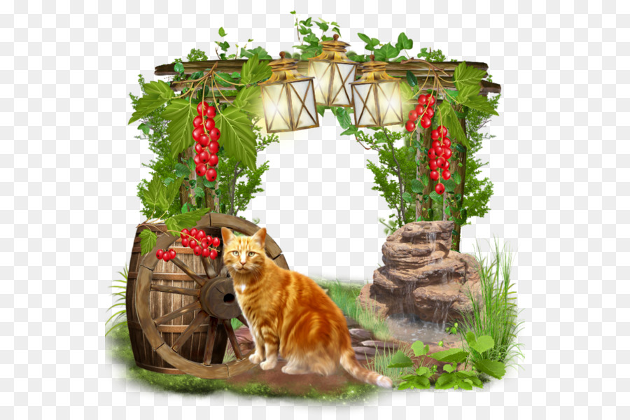 Chat，Jardin PNG