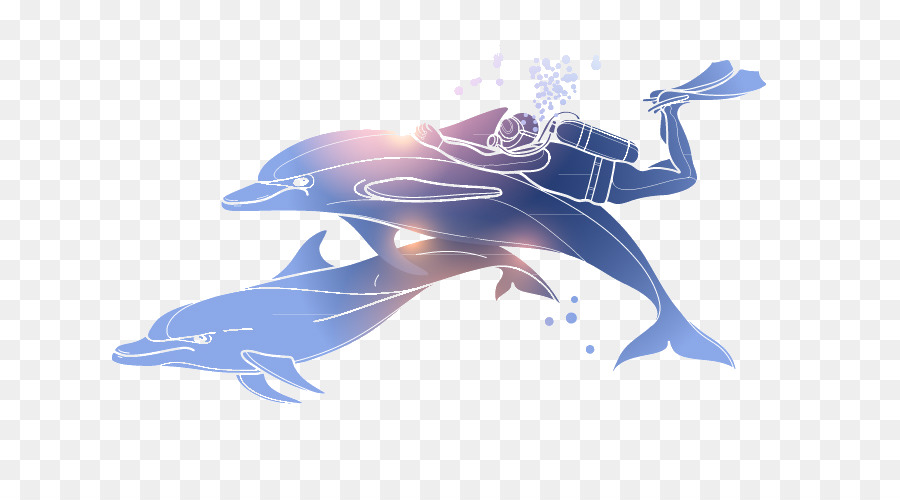 Plongeur Avec Les Dauphins，Plongeur PNG