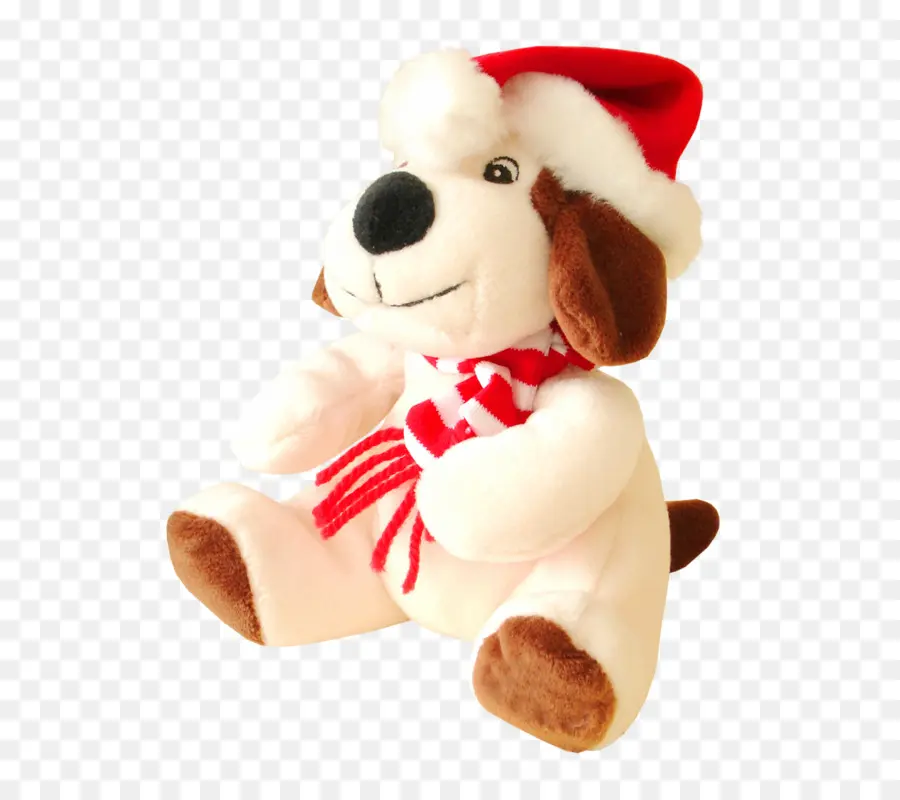 Chiot，Chien PNG