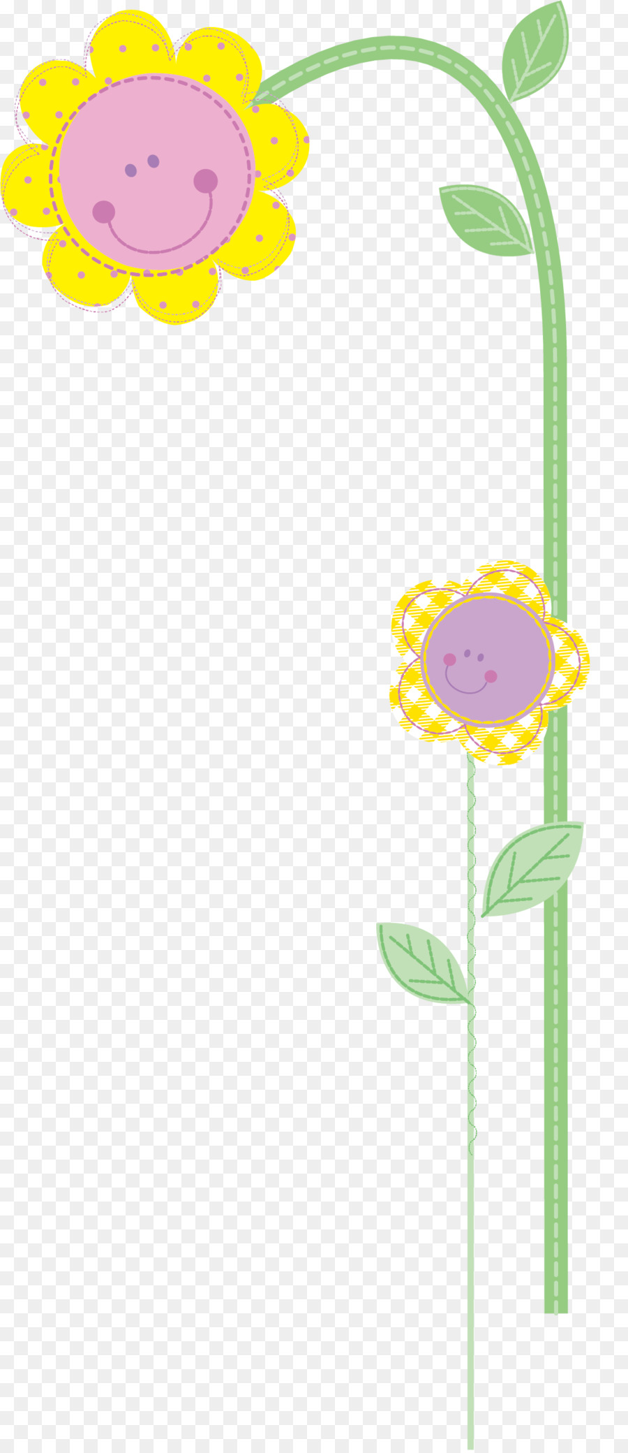 Tournesol Commun，Graphique PNG