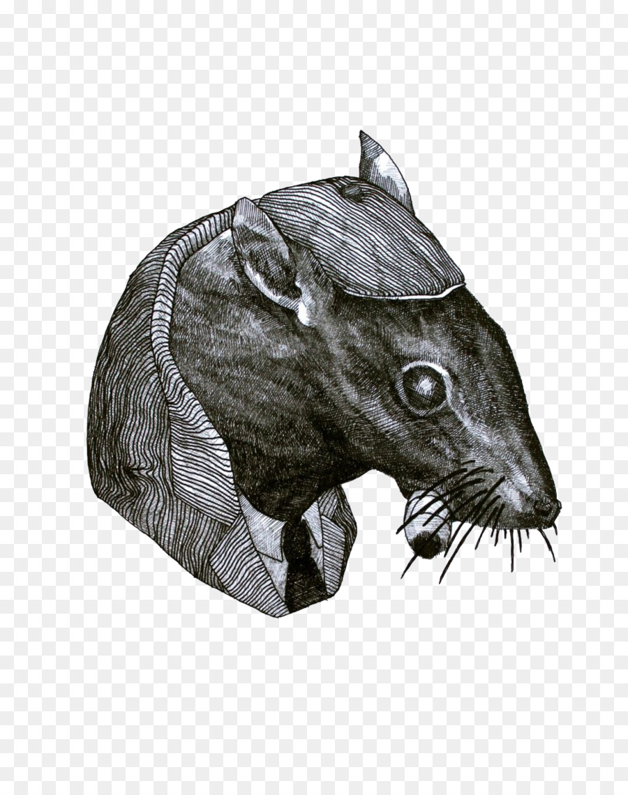 Rat，Noir Et Blanc PNG