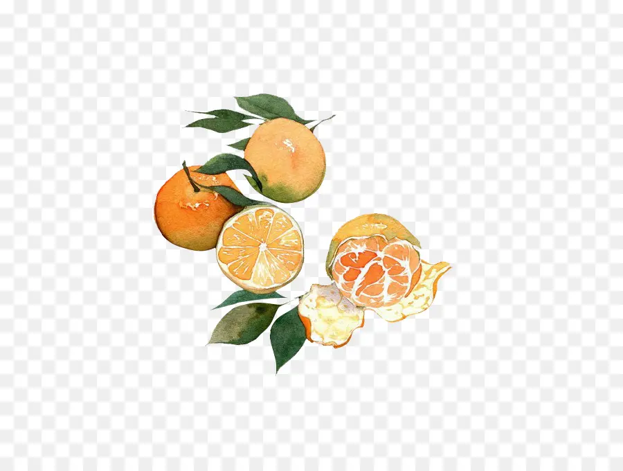 Oranges，Agrumes PNG