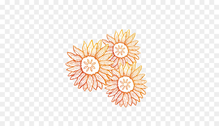 Design Floral，Orange PNG