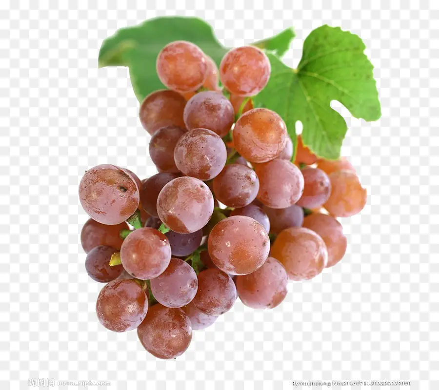 Raisins，Vigne PNG