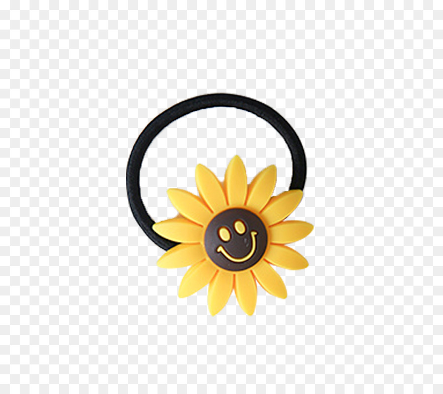 Commune De Tournesol，Designer PNG